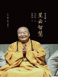 星云智慧