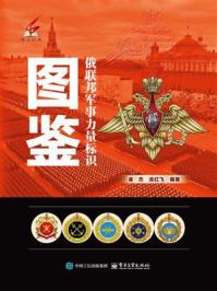 俄联邦军事力量标识图鉴