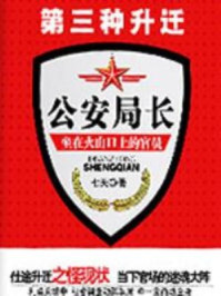 第三种升迁:公安局长