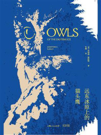 远东冰原上的猫头鹰