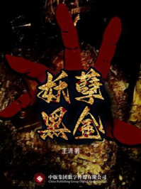 妖孽黑金