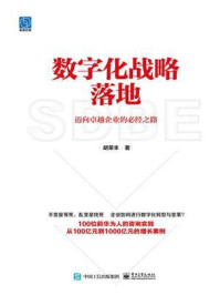 数字化战略落地：迈向卓越企业的必经之路