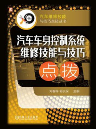 汽车车身控制系统维修技能与技巧点拨