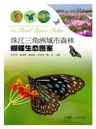 珠江三角洲城市森林蝴蝶生态图鉴