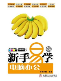 新手易学：电脑办公