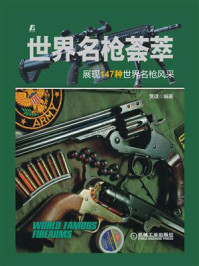 世界名枪荟萃