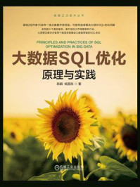大数据SQL优化：原理与实践