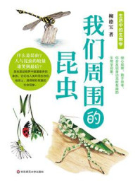 我们周围的昆虫