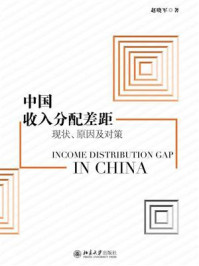中国收入分配差距：现状、原因及对策