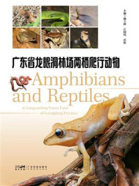 广东省龙眼洞林场两栖爬行动物