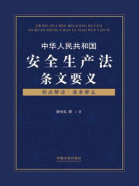中华人民共和国安全生产法条文要义
