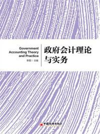 政府会计理论与实务