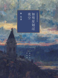 如彗星划过夜空:近距离看美国之四(林达作品系列)