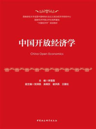 中国开放经济学