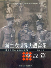 第二次世界大战实录·空战篇