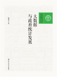大数据与政府统计发展