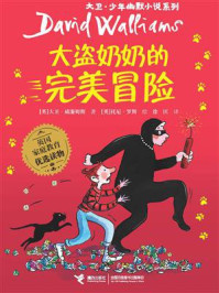大盗奶奶的完美冒险