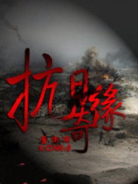 抗日奇缘