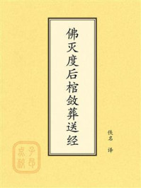 点校本:佛灭度后棺敛葬送经
