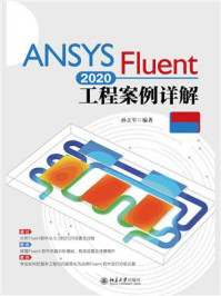 ANSYS Fluent2020工程案例详解（视频教程版）