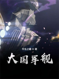 大国军舰