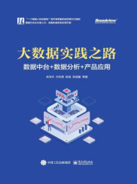 大数据实践之路：数据中台+数据分析+产品应用