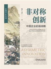 非对称创新：中国企业赶超战略