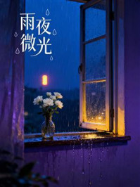 雨夜微光