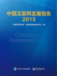 中国互联网发展报告2015