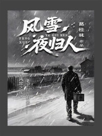 风雪夜归人