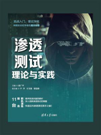 渗透测试理论与实践
