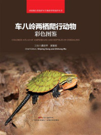 车八岭两栖爬行动物彩色图鉴
