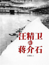 汪精卫和蒋介石