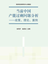 当前中国产能过剩问题分析：政策、理论、案例