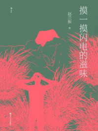 摸一摸闪电的滋味
