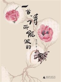 一首诗所能做的