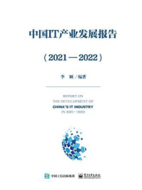 中国IT产业发展报告(2021—2022)