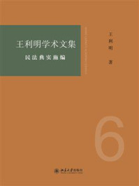 王利明学术文集·民法典实施编
