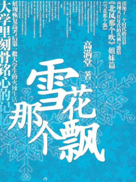 雪花那个飘(张译主演同名电视剧原著)