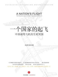 一个国家的起飞：中国商用飞机的生死突围
