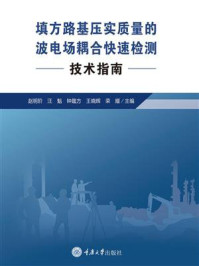 填方路基压实质量的波电场耦合快速检测技术指南