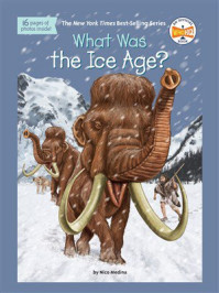 What Was the Ice Age?