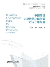 中国分省企业经营环境指数2020年报告(国民经济研究所系列丛书)