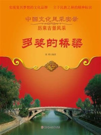 多姿的桥梁