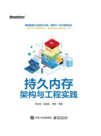 持久内存架构与工程实践