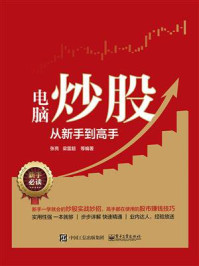 电脑炒股从新手到高手