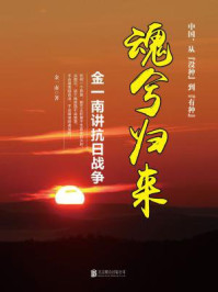 魂兮归来:金一南讲抗日战争