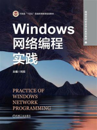 Windows网络编程实践