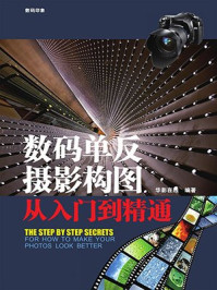 数码单反摄影构图从入门到精通