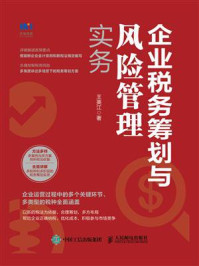 企业税务筹划与风险管理实务
